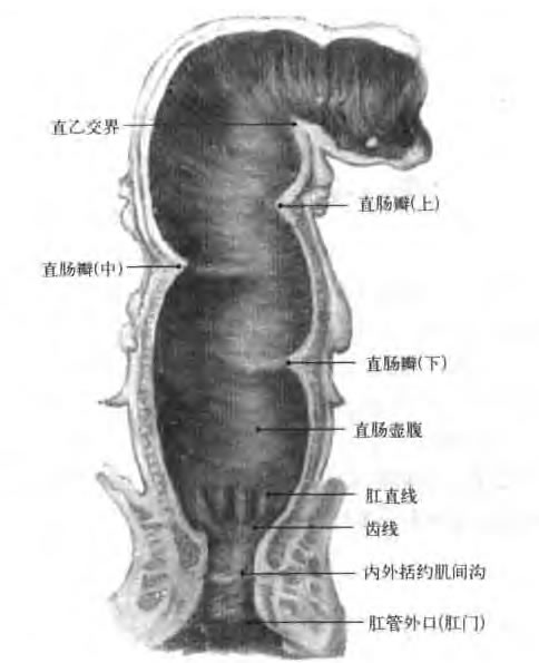 图示：直肠炎吃什么药效果好