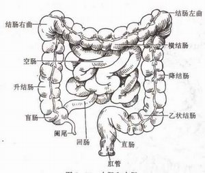 结肠炎的危害会给你带来恶变！