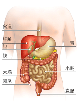 结肠炎患者有哪些饮食原则？